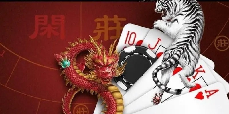 Cửa cược và tỷ lệ thưởng game