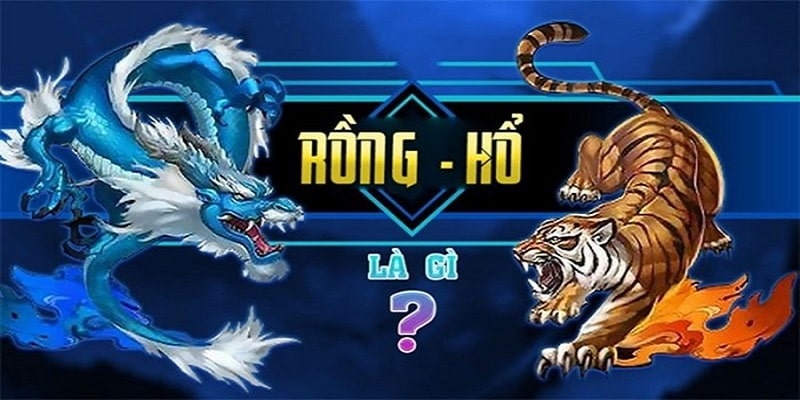 Giới thiệu game bài rồng hổ cho người mới
