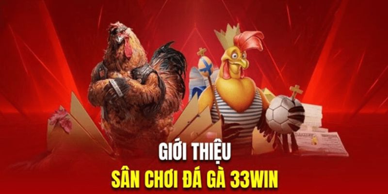 Giới thiệu sân chơi đá gà 33Win đẳng cấp